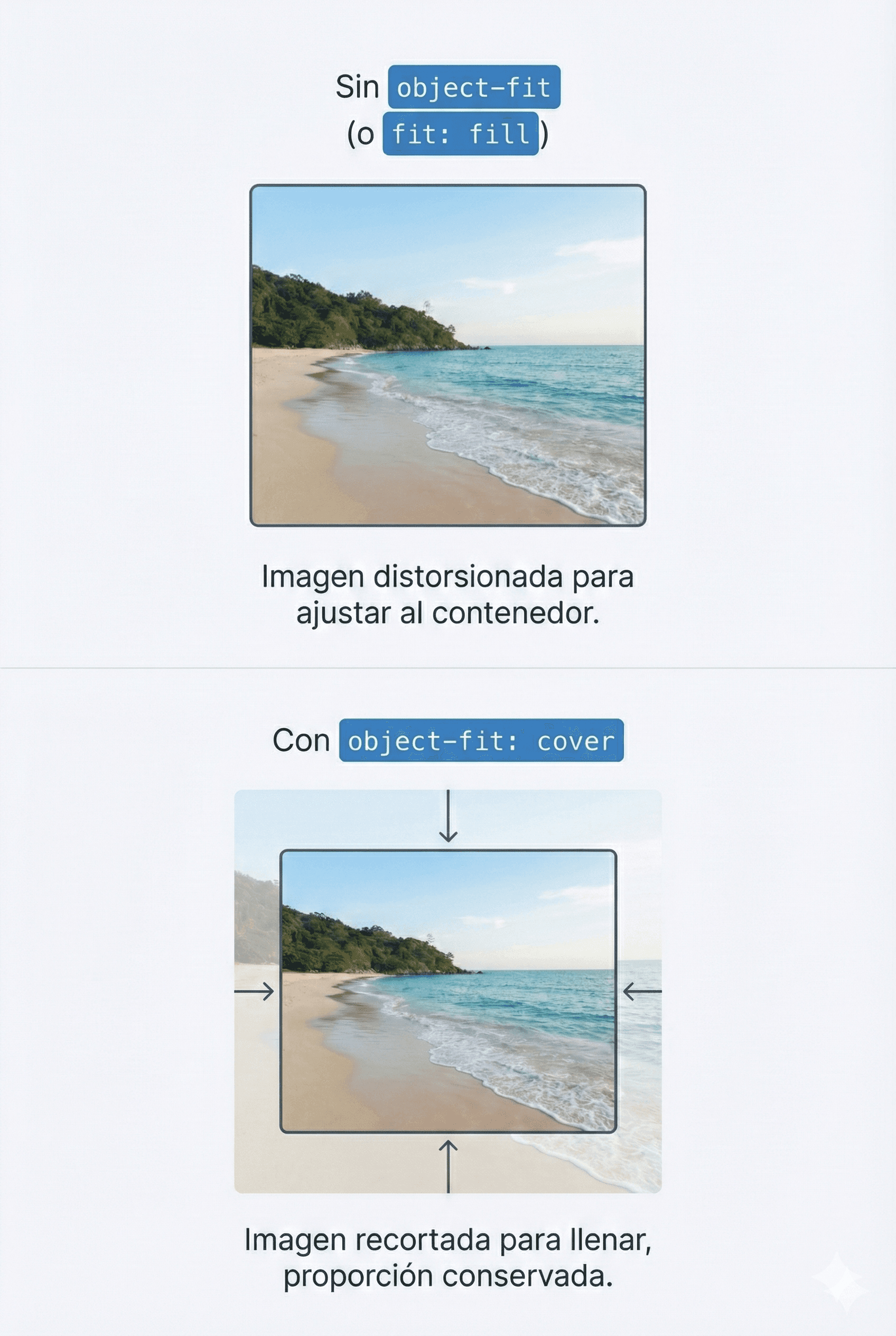 Visualización de cómo object-fit recorta la imagen para llenar el contenedor