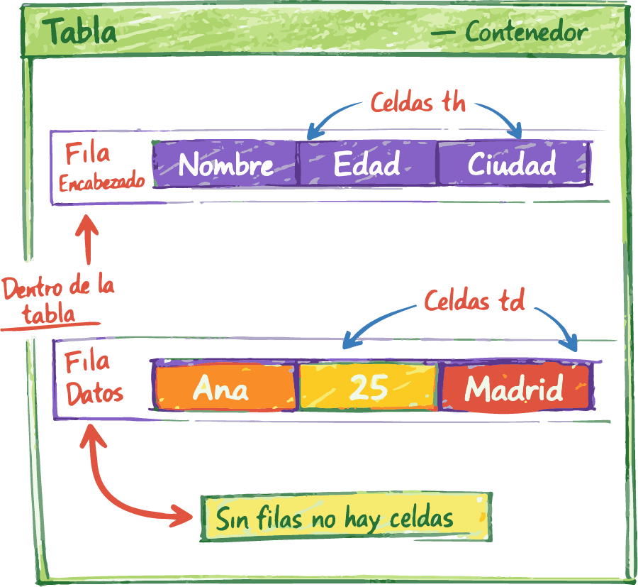 Jerarquía de una tabla HTML con tr th y td